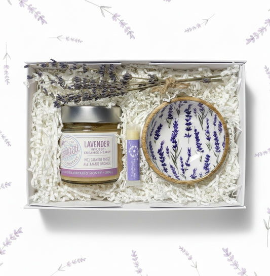 The Mini Lavender Fields